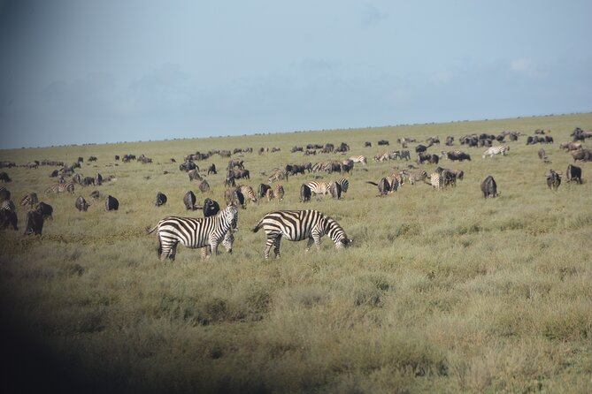 2 Days Tour From Zanzibar to Nyerere National Park (Selous GR) - The overnight pause and what to pack