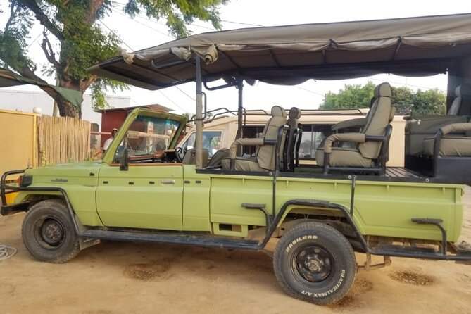 2 Days Tour From Zanzibar to Nyerere National Park (Selous GR) - Day one: flying into Nyerere and searching by vehicle