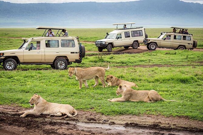 2 days Tour Tarangire & Ngorongoro - Ngorongoro Crater: six hours in a natural wildlife bowl