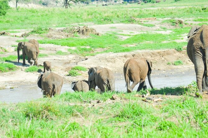2 days Tour Tarangire & Ngorongoro - The guide and staff support