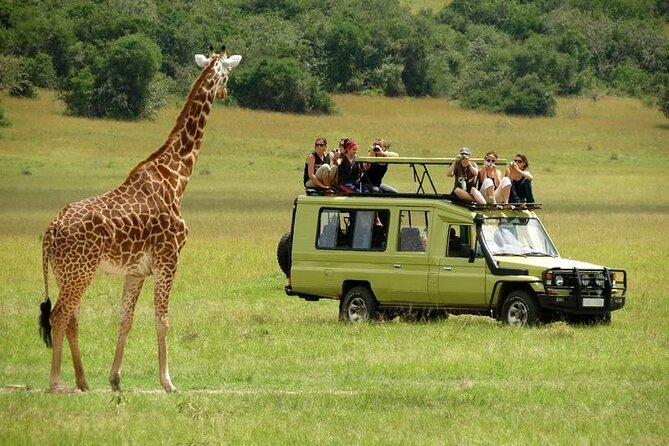 2 days Tour Tarangire & Ngorongoro - Who should book this two-day trip