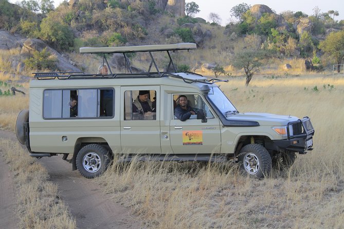 2 Days Wildlife game drives Through Tarangire and Ngorongoro Crater - Day Two: An Early Start for Ngorongoro Crater