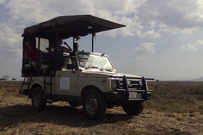 2 Days Wildlife Safari in Mikumi National Park - Key points at a glance