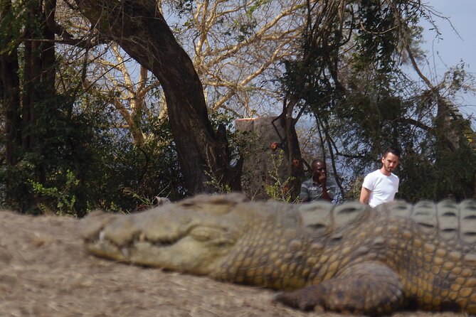 2 Days Wildlife Safari in Mikumi National Park - Is $423.08 a fair price?