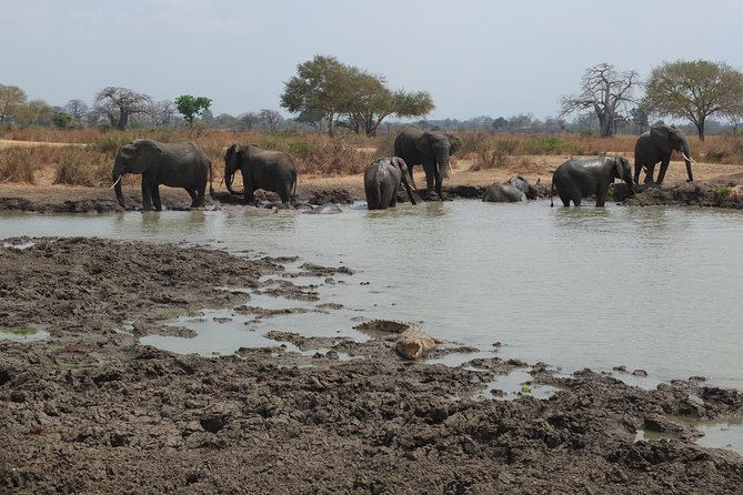 2 nights 3 days safari to mikumi national park - What $650 per person really covers