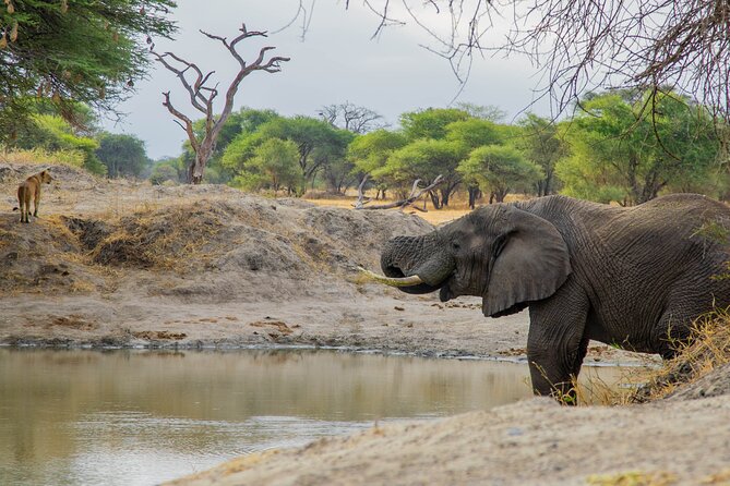 3-Day / 2 Nights Group Safari Serengeti & Ngorongoro Crater - Who should book this three-day route