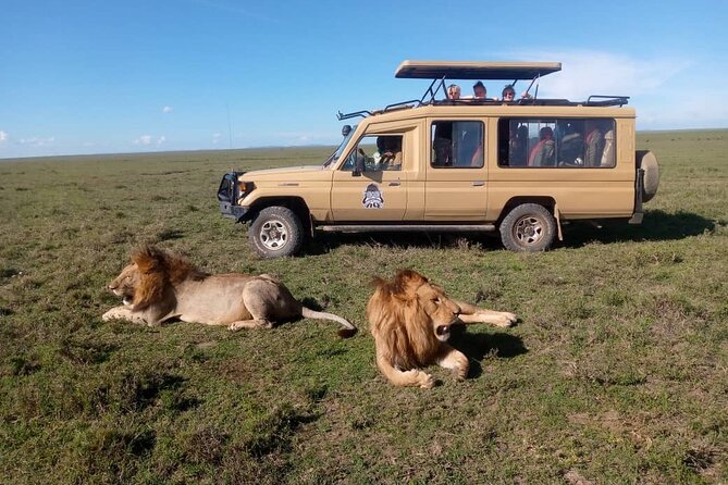3-Day Camping Safari Tarangire, Lake Manyara & Ngorongoro crater - Day 1: Lake Manyara’s forest and lakeshore