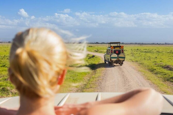 3 Day Classic, Guided Serengeti Safari - Day 3: Returning to Arusha after one last look at the plains