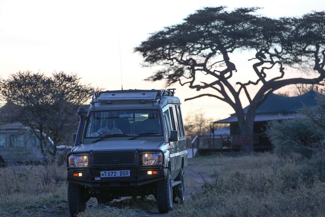 3-Day Classic Serengeti Safari - Day Two: Eight Hours on the Serengeti Plains