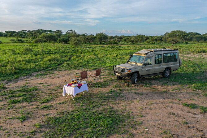 3-Day Classic Serengeti Safari - Day Three: Ngorongoro Crater Before Arusha