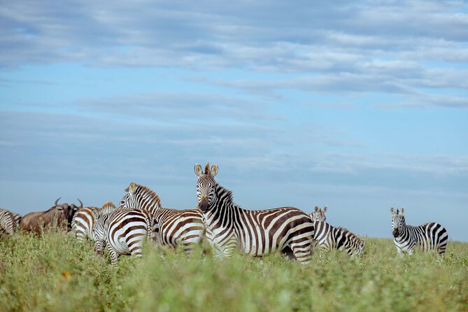 3-Day Manyara, Tarangire and Ngorongoro Crater - Three parks, three very different views of Tanzania