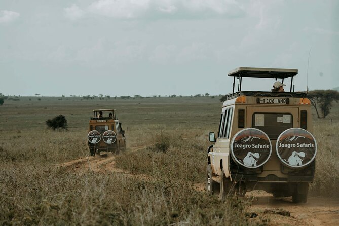 3-Day Manyara, Tarangire and Ngorongoro Crater - Day three: Tarangire’s elephants and baobabs