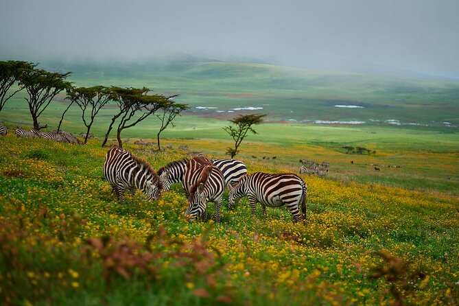 3-Day Manyara, Tarangire and Ngorongoro Crater - What to pack and how to prepare