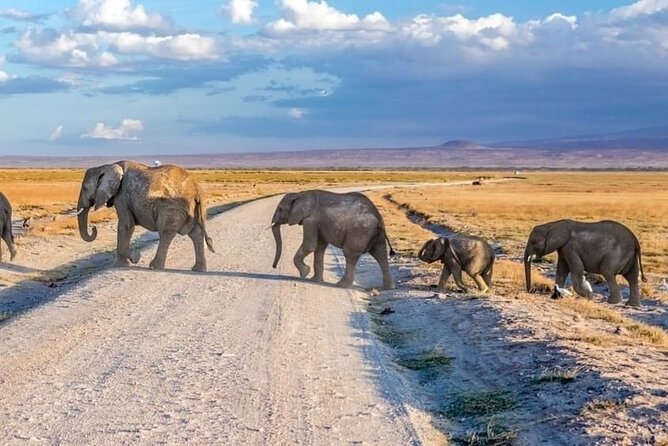 3-Day Ngorongoro Crater Manyara and Tarangire Safari from Arusha - Day 1: Tarangire and the world of elephants