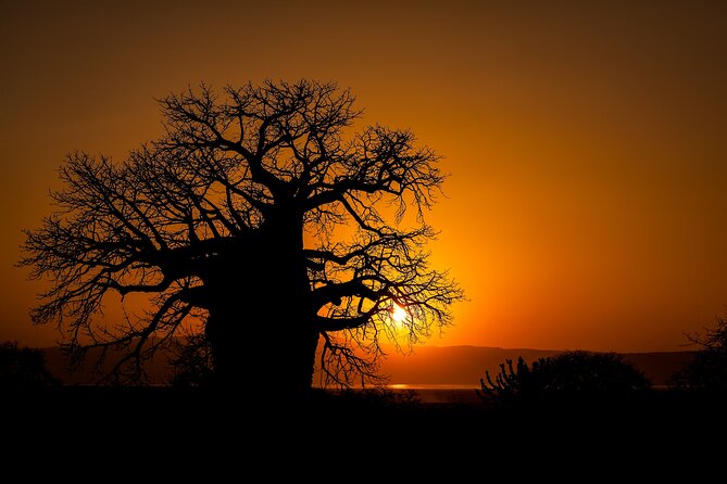 3-Day Private Safari to Lake Manyara, Tarangire & Ngorongoro - Food, timing, and comfort on the road