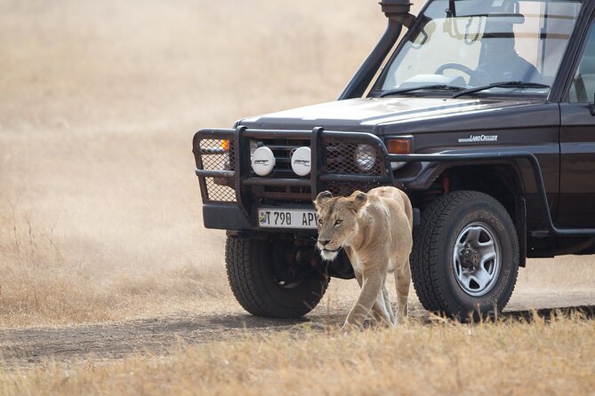 3 Day Private Serengeti Safari Tour with One Way Flight - Is $1,477 Good Value?