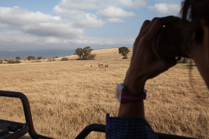 3 Day Private Serengeti Safari Tour with One Way Flight - Who Will Like This Safari Most