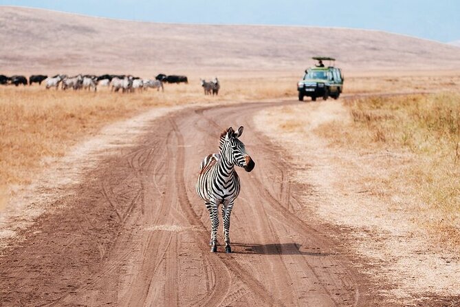 3 Day Safari Expedition from Arusha - Day 1: Tarangire’s elephants and dry-country scenery
