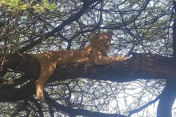 3-Day Safari to Ngorongoro, Tarangire & Lake Manyara NP - What the $970 price really covers