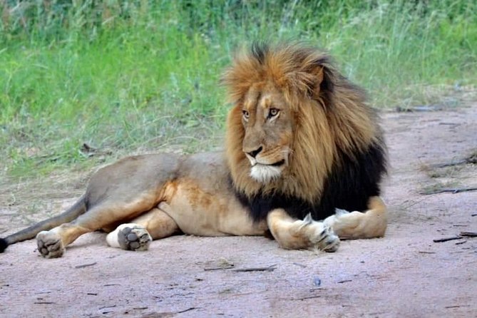 3-Day Safari to Ngorongoro, Tarangire & Lake Manyara NP - Guides, group size, and the human side of the safari