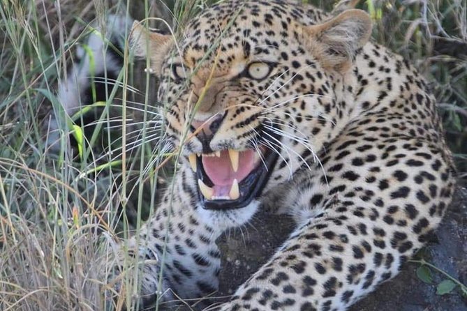 3-Day Safari to Ngorongoro, Tarangire & Lake Manyara NP - What to pack for these three park days