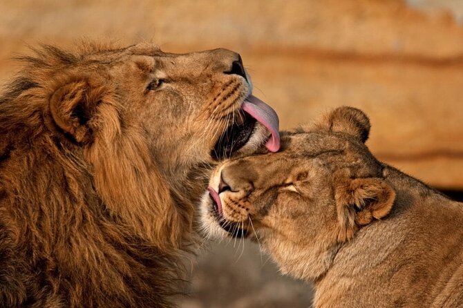 3 Day Sharing Safari - Manyara, Ngorongoro Crater and Tarangire National Parks - What the $870 price really covers