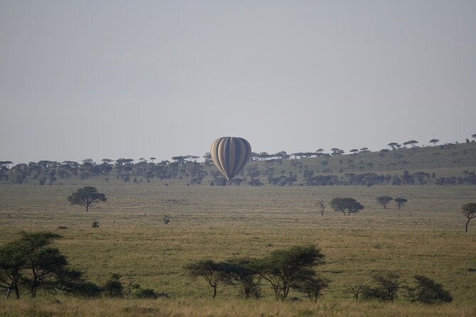 3 Day Sharing Safari - Manyara, Ngorongoro Crater and Tarangire National Parks - Who will enjoy this safari most