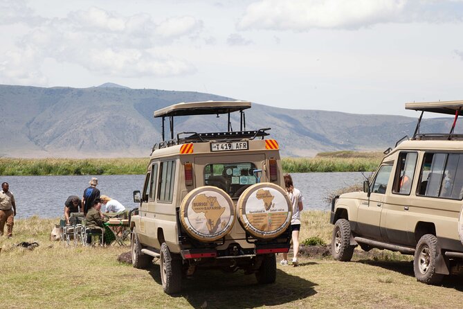 3-Day Tanzania Group Safari-Tarangire, Ngorongoro & Lake Manyara - What the $962 price really covers