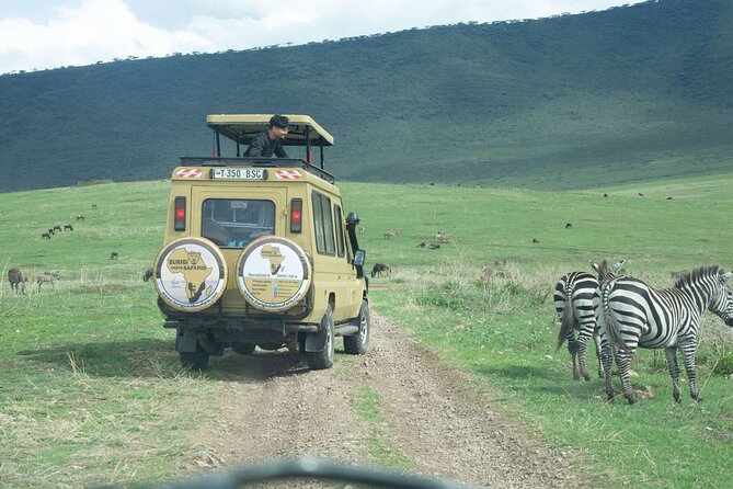 3-Day Tanzania Group Safari-Tarangire, Ngorongoro & Lake Manyara - The guide and vehicle make the difference