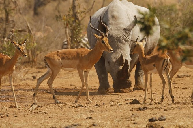 3 Day Tanzania Luxury Safari - The Serengeti question needs a clear answer