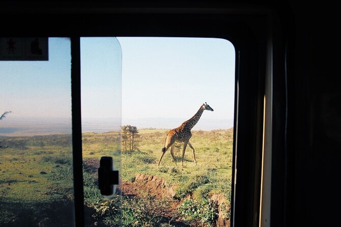 3-Day Tarangire, Lake Manyara and Ngorongoro - Leaving Arusha at 6:00 in the morning