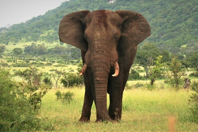 3-Day Tarangire, Lake Manyara and Ngorongoro - Ngorongoro Crater: a long day on the crater floor