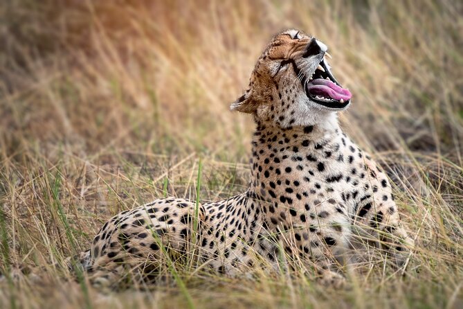 3-Day Tarangire, Lake Manyara and Ngorongoro - Who should book this three-day route