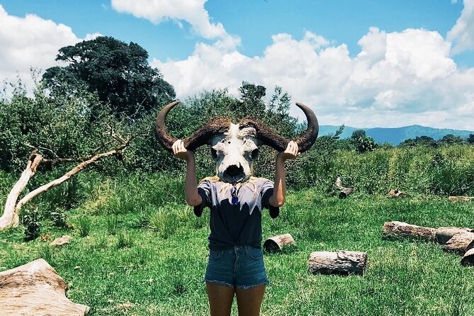 3-Day Tarangire, Lake Manyara and Ngorongoro - Tarangire National Park: elephants and open country