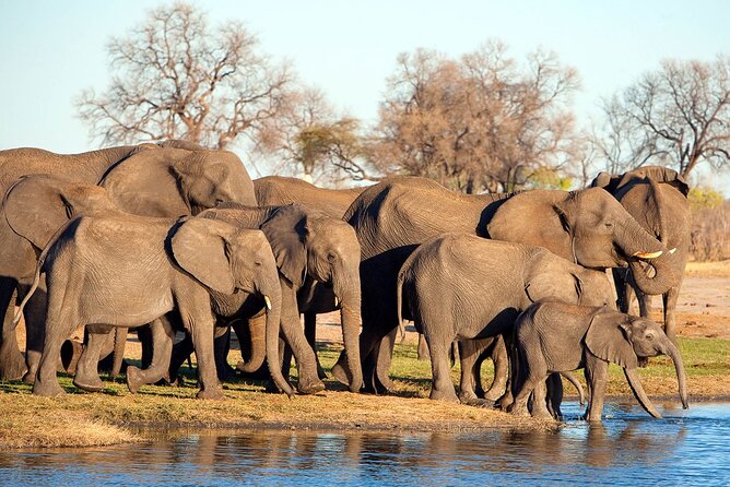 3-Day Tarangire, Ngorongoro and Lake Manyara Camping Safari - Why this three-park route works