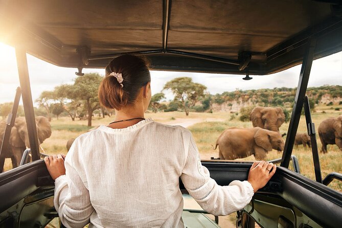 3-Day Tarangire, Ngorongoro and Lake Manyara Camping Safari - Day three: Forest, lake, and the road back to Arusha