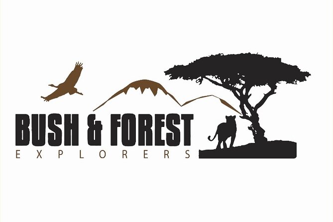 3-Day Tarangire, Ngorongoro and Lake Manyara Camping Safari - Day one: Tarangire’s elephants and baobabs