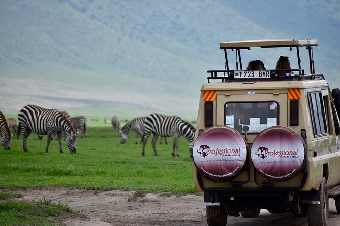 3 Day - Tarangire, Ngorongoro Crater Lake Manyara- Mid - Range - Day two in Ngorongoro Crater: the busiest wildlife day
