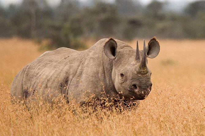 3-Day Tarangire, Ngorongoro Crater, Manyara Park - Why this three-park route works