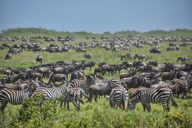 3-Day Tarangire, Ngorongoro Crater, Manyara Park - What the $1,640 price really covers