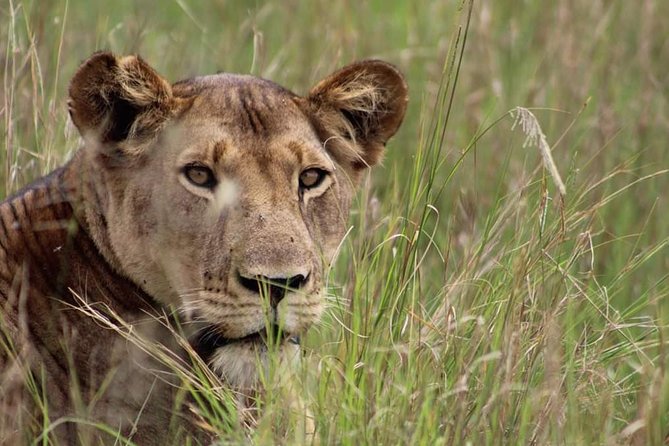 3-Day Tarangire NP, Manyara NP & Ngorongoro Crater - Three parks in three days