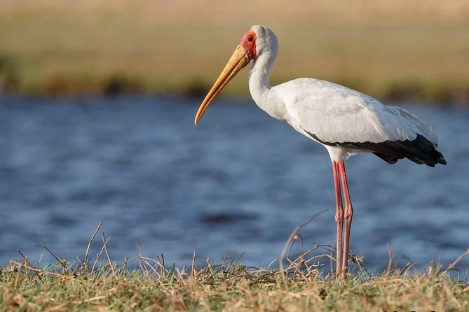 3-Day Tarangire NP, Manyara NP & Ngorongoro Crater - Ngorongoro Crater and the best chance at the Big Five