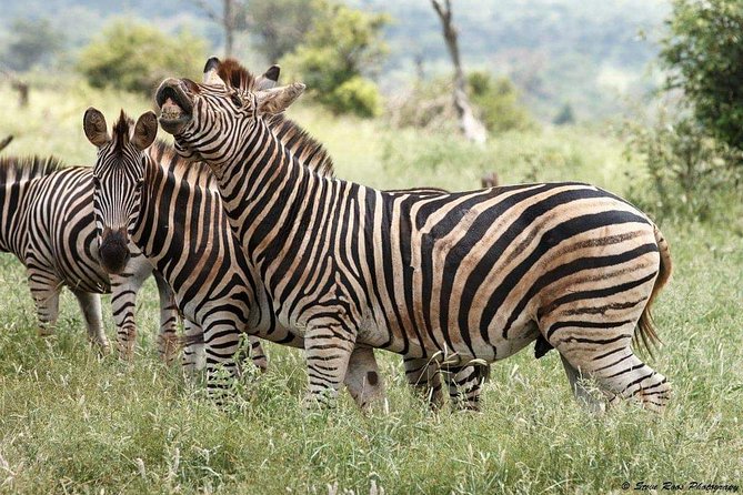 3-Day Tarangire NP, Manyara NP & Ngorongoro Crater - Lake Manyara’s forests, flamingos, and waterfalls