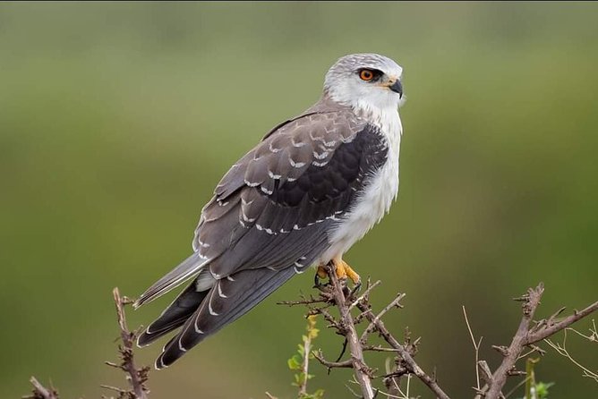 3-Day Tarangire NP, Manyara NP & Ngorongoro Crater - What the $830 price really includes