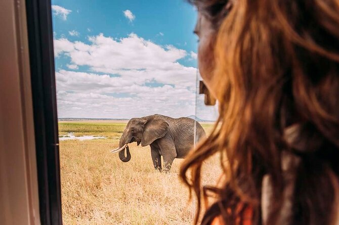 3-Day Taste of Tanzania Safari (Tarangire National park and Ngorongoro Crater) - Booking questions worth asking before payment