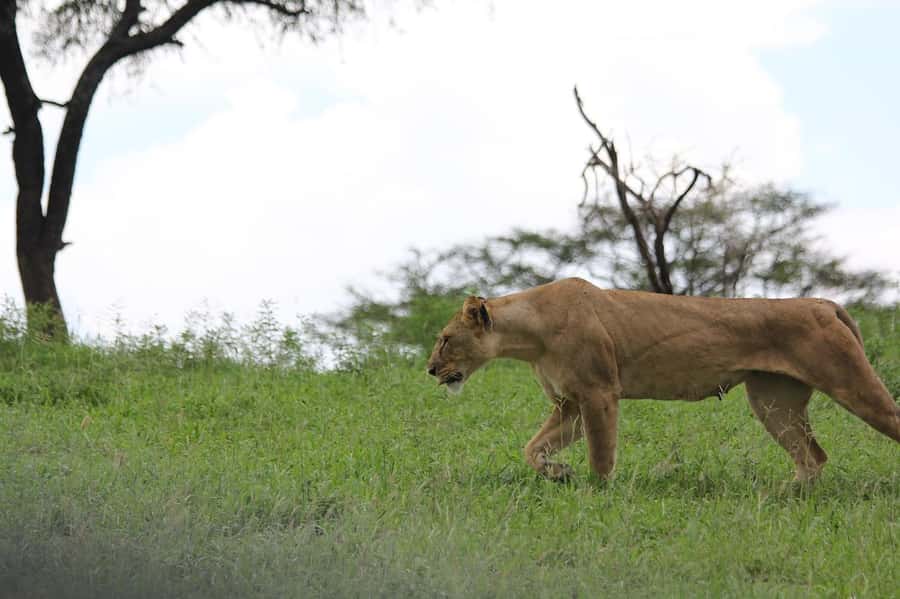 3-day unforgettable memories from Dar-es-Salaam to Mikumi NP - Day one: the road from Dar es Salaam to Morogoro