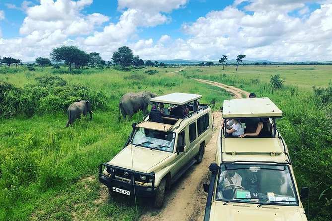 3 Days 2 Nights Adventures At Mikumi National Park - Key points to know before booking