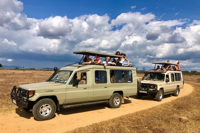 3 Days 2 Nights Adventures At Mikumi National Park - The full 12-hour wildlife day