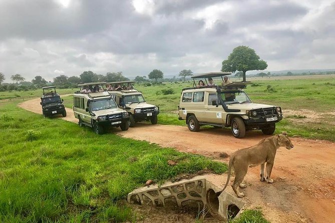 3 Days 2 Nights Adventures At Mikumi National Park - Day 3 and the return to Dar es Salaam