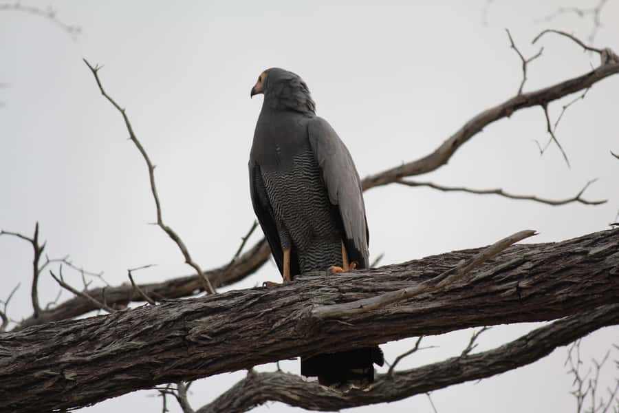 3 Days 2 Nights Amazing Masai Tour & Mikumi National Park - Key points at a glance